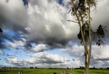 哈尔滨亚冬会2月10日观赛日历,高亭宇力争卫冕人民日报客户端.