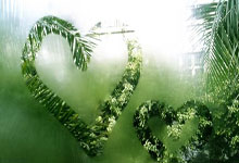 米乐M6:布达佩斯短池世锦赛 张正伟和颜欣慧打破全国纪录.