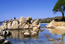 😍😍北京男篮啦啦队队长晒照:季后赛见.